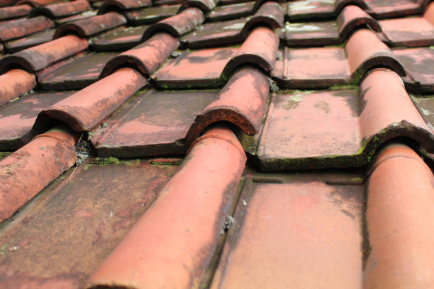 istock Traditional aged clay roof tile background 2189178651