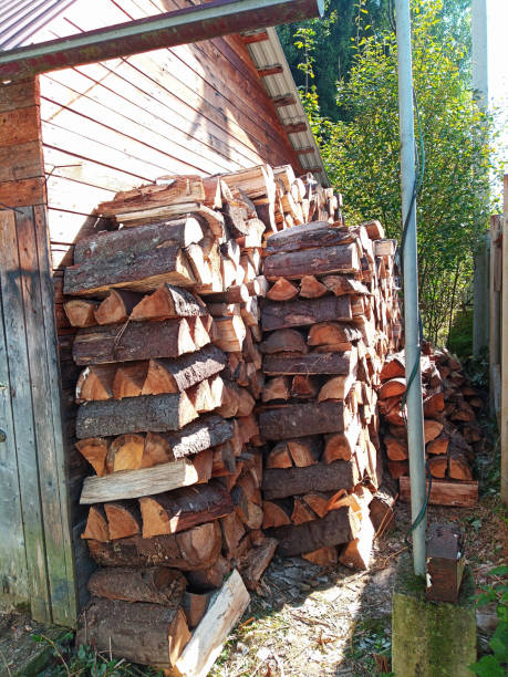 istock Pile of coniferous firewood 2189180805