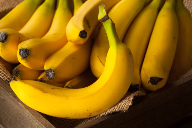 istock Raw Organic Bunch of Bananas 2189182288
