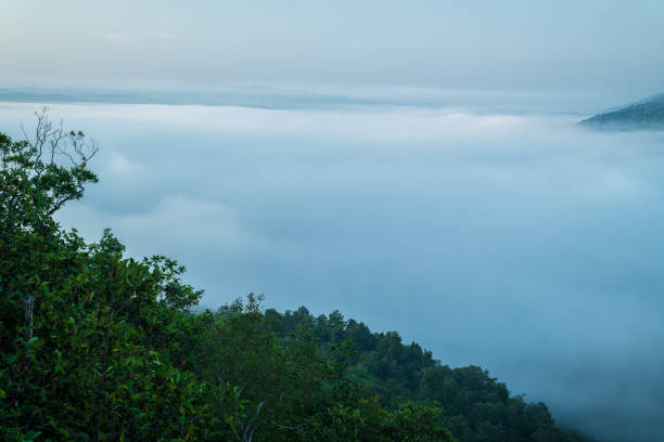 Misty landscape with forest. Foggy clouds above tree. Panoramic mountain in deep countryside at Thailand. nature background