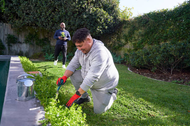 istock Man planting flowers in garden 2189189936