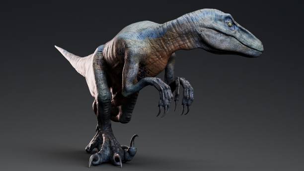 istock Velociraptor of background. 3d model rendering 2189189957