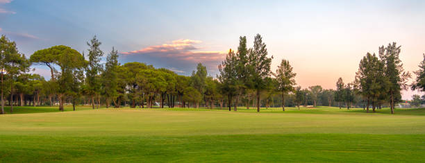 istock A tranquil golf course with lush greenery and a peaceful tree line, illuminated by the gentle hues of a serene sunset sky. 2189190410