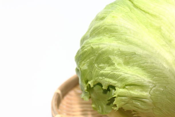 There are various varieties with different leaf shapes and colors. Find your favorite lettuce.