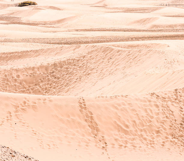 A desert landscape with a large sand dune in the middle. The sand is a light tan color and the dune is very tall