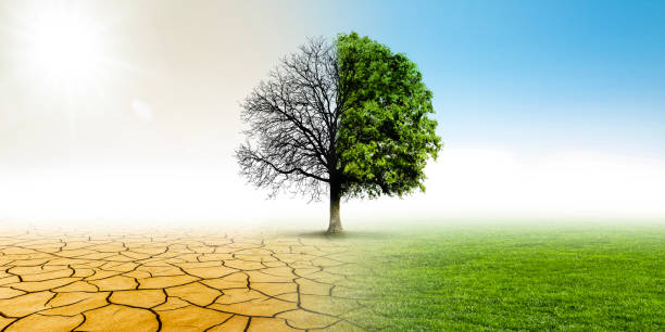 istock Climate change from drought to green growth 2189191481