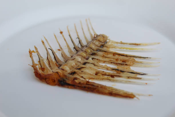 One Gourami fish bone, on white plate, isolated on white background