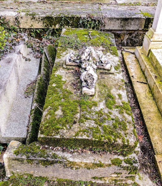 A stone tombstone with moss growing on it. The tombstone is in a cemetery and has a cross on it