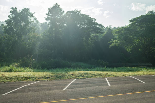 Empty parking lot against meadow and beautiful forest with light in morning.