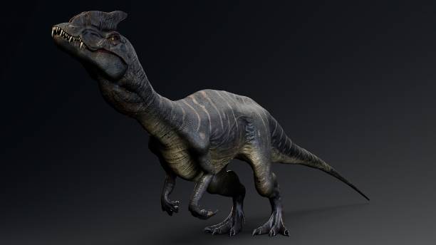 istock Dilophosaurus of background. 3d model rendering 2189192758