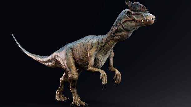 istock Dilophosaurus of background. 3d model rendering 2189192797