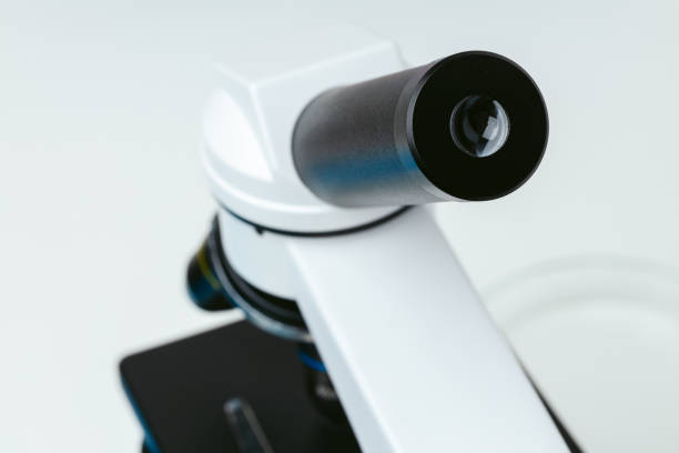 Close-up view of an advanced laboratory microscope with dual eyepieces seen in detailed clarity, against a blurred background creating an effect of depth focusing on scientific study