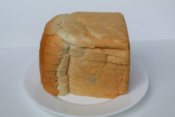 One loaf of slightly moldy white bread, on white plate, isolated on white background