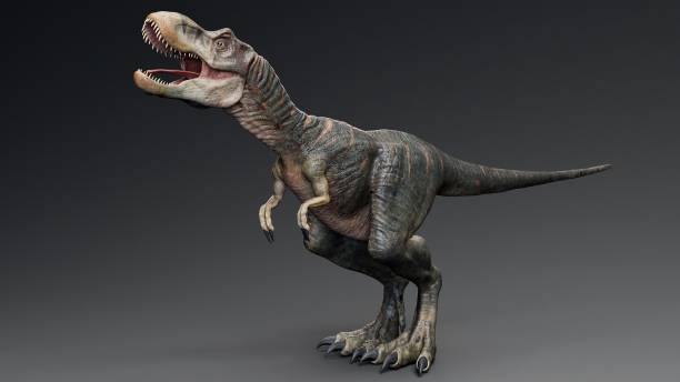 istock Baby Trex of background. 3d model rendering 2189194124