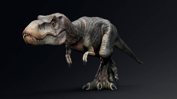 istock Baby Trex of background. 3d model rendering 2189194195