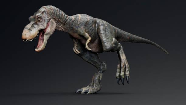 istock Baby Trex of background. 3d model rendering 2189194198