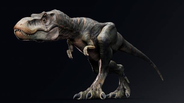 istock Baby Trex of background. 3d model rendering 2189194222