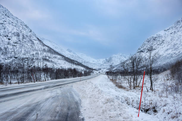 Country and road covered by snow, which covers the mountains also. Many trees with no leaves. Cloudy sky in the late autumn. Gullesfjord, Norway.