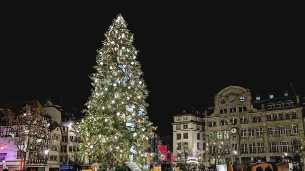 istock Christmas tree in city square during festive night celebration in Strasbourg 2189195461