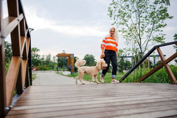 istock Walking time in the park for red poodle and her owner 2189195768