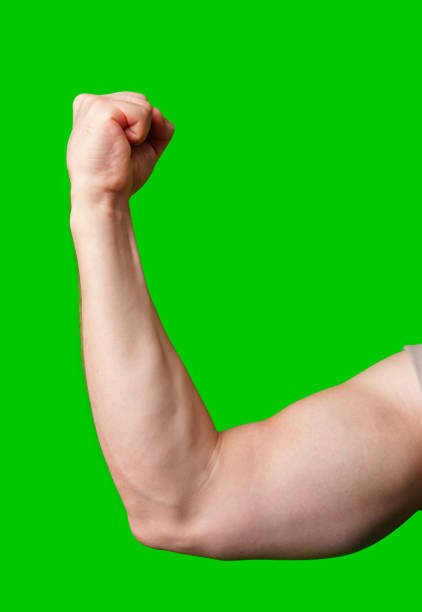 Strong and muscular arm flexing against a bright green background in studio