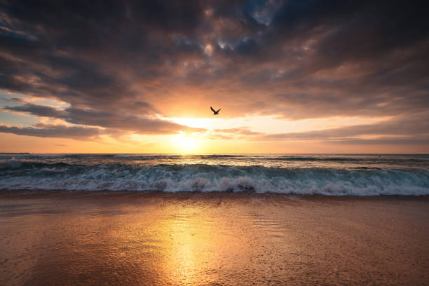 Beautiful cloudscape over the sea, sunrise shot