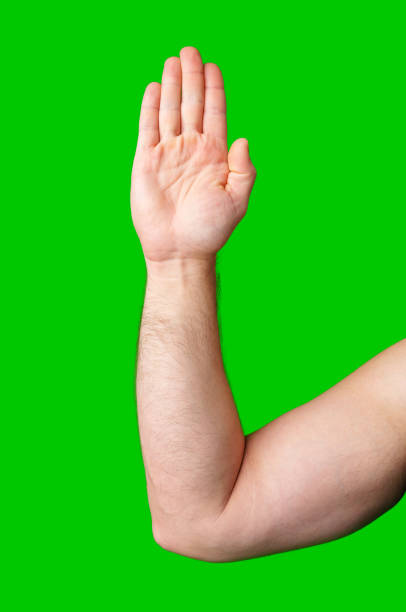 istock A raised hand against a vibrant green backdrop signaling for attention or greeting 2189197923