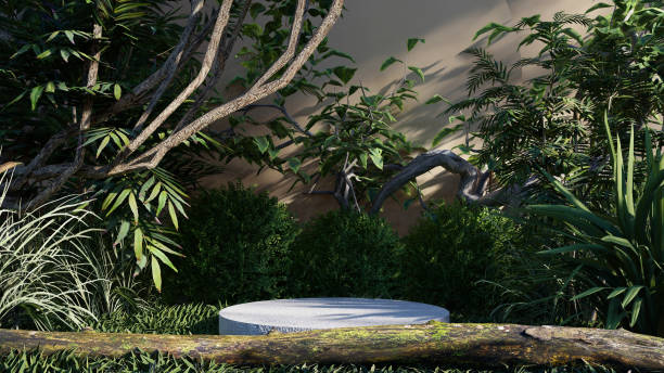 istock nature background product forest empty green natural display podium cosmetic. 2189198514