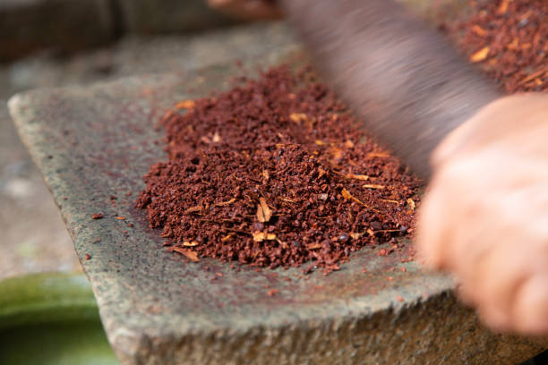 istock A woman in Oaxaca Mexico manually producing organic chocolate on a metate, an ancient stone tool for grinding food products. 2189200355