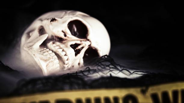 Horror Halloween Concept Crime Scene Warning Stick Tape Sign and Head Skull