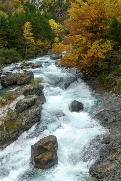 istock Ara River through the Bujariego Valley, in Ordesa. Spain 2189202484
