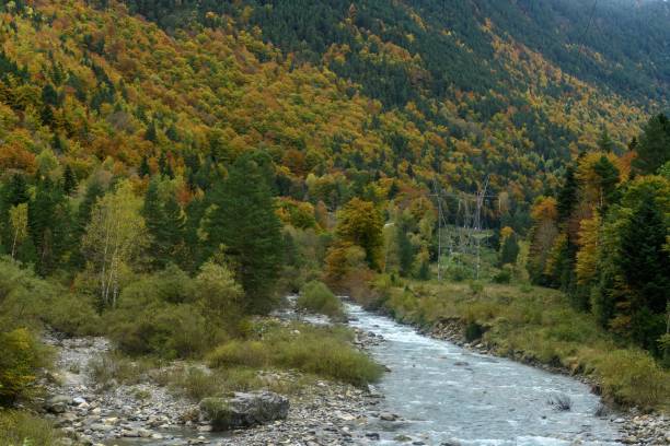 istock Ara River through the Bujariego Valley, in Ordesa. Spain 2189202531