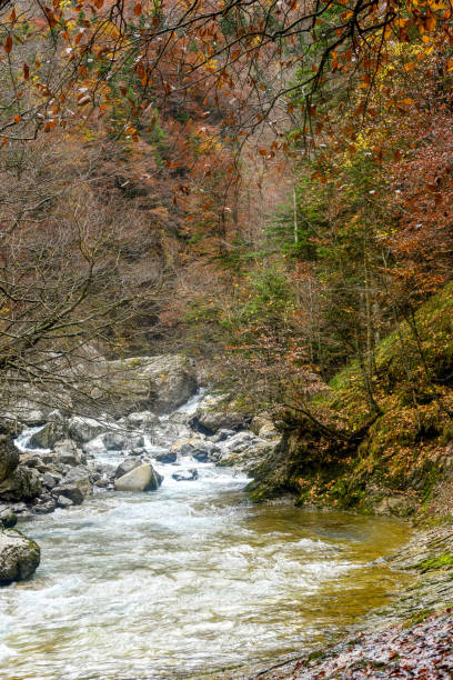 istock Araza River, in the Ordesa and Monte Perdido National Park - Spain 2189202663
