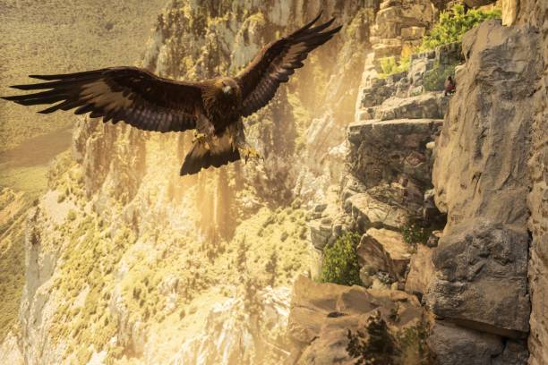 istock Majestic bearded vulture spreading its wings over steep mountains 2189202696