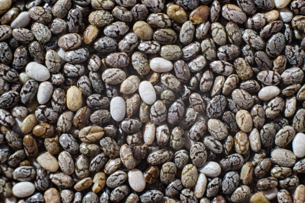 istock macro photography Chia seeds close-up, texture 2189203872