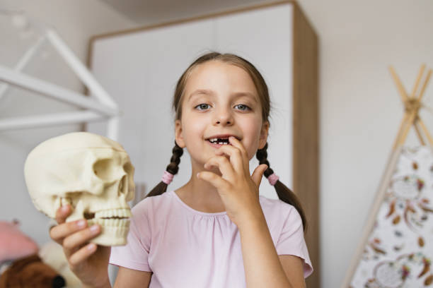 istock Caucasian girl with missing teeth holding skull model at home 2189209893