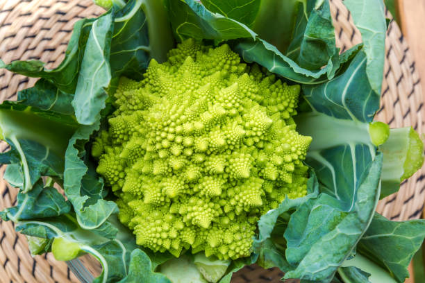cabeza de brócoli romanesco entre tallos y hojas, vista superior - coliflor romanesco fotografías e imágenes de stock