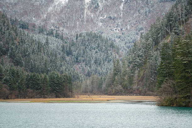 Beautiful tranquil lake view of Jiuzhaigou valley parkland with snow mountain in winter season as background. The most famous Unesco world heritage site in Sichun, China. Nature environment landscape.