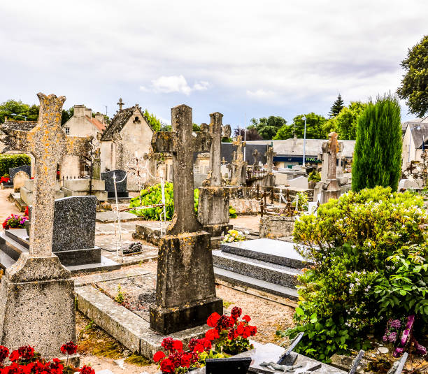 istock A cemetery with many gravestones and a few flowers 2189214274