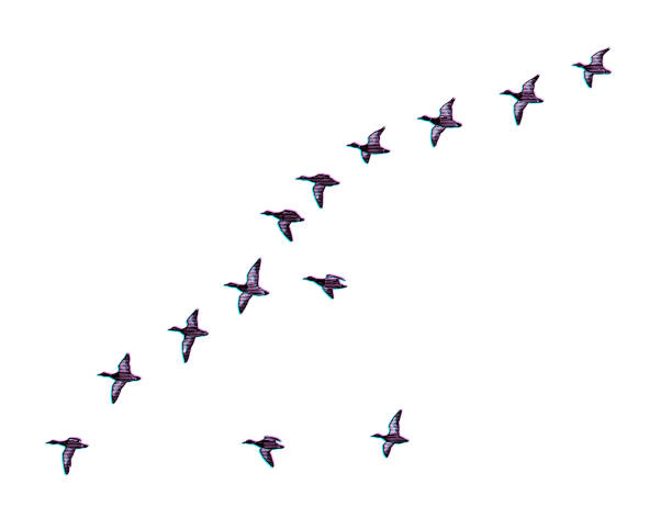 Spring Shape Flying Spring Birds Flying Clip Art