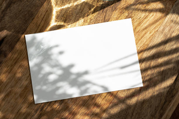 istock Blank white business card with copy space for your design 2189215399