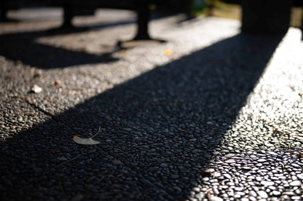 Midday autumn sunlight and shadows on the ground.