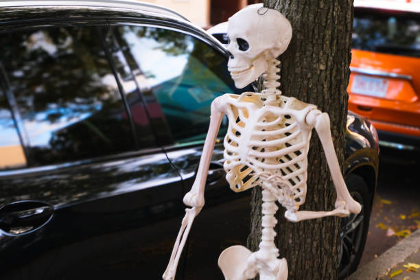 skeleton leans casually against a tree on a city street, adding a spooky, humorous touch to the neighborhood, safe drive and waiting for a driver concept