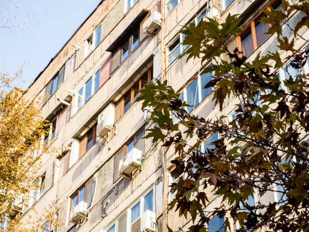 istock sycamore leaves and urban house on background 2189229409