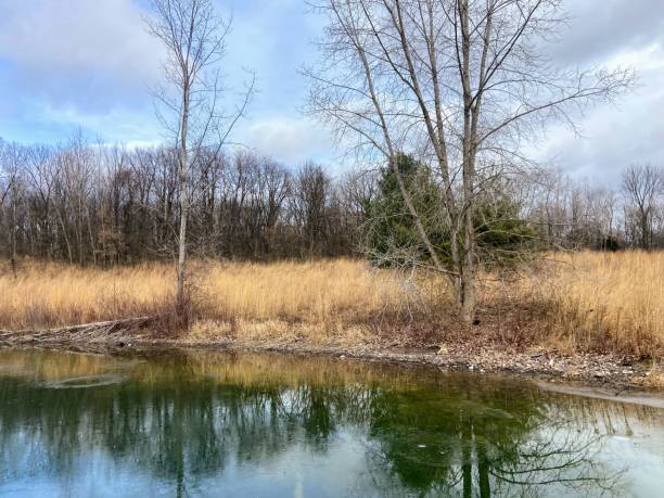 istock Markin Glen Park in Kalamazoo, Michigan 2189230066