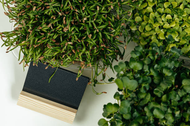 istock Micro green and black price tag with copy space 2189230507