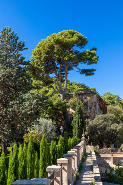 istock Cartoixa Garden in Valldemossa, Majorca 2189230531