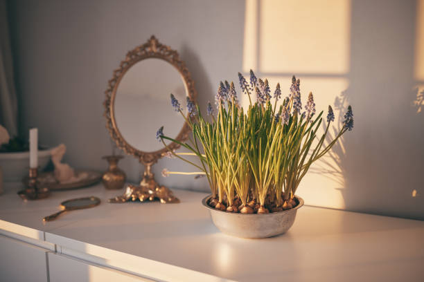 Charming Vintage Vanity with Potted Flowers in Soft Daylight