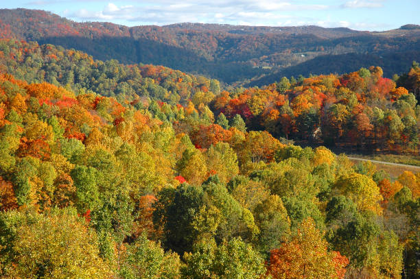 istock colorful autumn forest in smoky mountain 2189233224