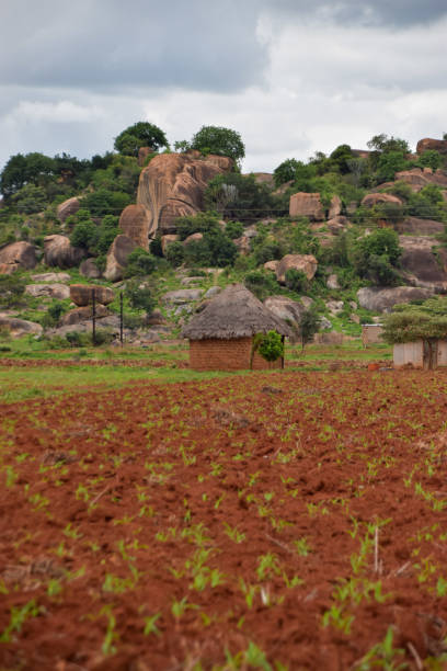 istock Traditional hut in rural Zimbabwe 2189235158